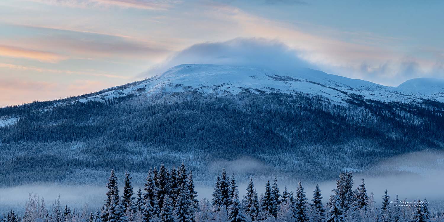 Välliste